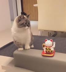 Oyuncak Kedinin Taklidini Yapan Sapsal Kedi Izlesene Com