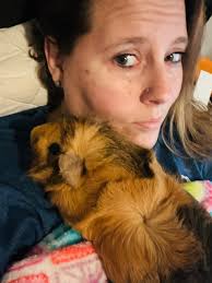 Rehoming 2 male and 2 female cats in East Texas