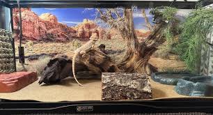 Image result for Terrarium Cling Background