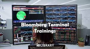 It is mostly a data. Bloomberg Terminal Training Session Ie Library