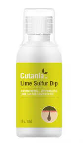 Image result for Limeum sulcatum