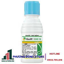 Quilt 200SE