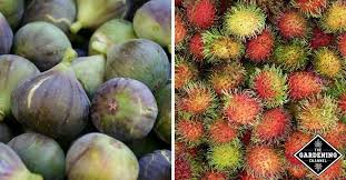 List Of Fruits From A To Z Fruit List Fruit Edible Landscaping