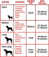 Stevilke Za Oprtnice Za Pse Dog Collar Size Dog Bandana Pattern Dog Size Chart