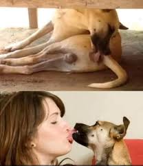 Alambco Ghana limited