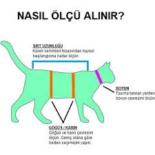 Stylie Kedi Ameliyat Sonrasi Giysisi S Fiyati Taksit Secenekleri