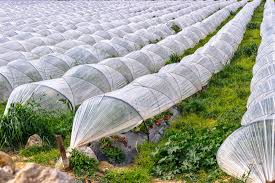 Plant supports can help to keep fruit or flowers off the ground to ensure they get the nutrients they need to grow and. Make An Easy Inexpensive Mini Greenhouse Mother Earth News