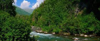 Five years after Laudato Si, and 50 after the first Earth Day