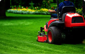 Easy to book, prices are fixed and upfront. Lawnguru Lawn Mowing Service