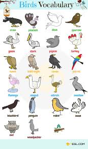 learn animal names in english eslbuzz learning english egitim faaliyetleri hayvanlar ingilizce