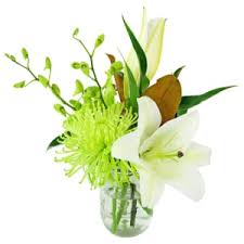Maybe you would like to learn more about one of these? Same Day Flower Delivery Auburn Hospital Sydney