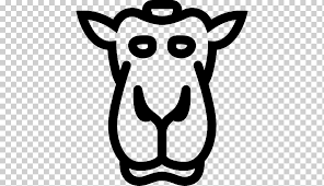 They probably wouldn't be so proud to be modelling what you're focusing on, if they knew the photo would be titled camel toe. Dromedary Snout Camel Toe Face Logo Monochrome Png Klipartz