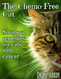 Helping Fight Feline Cancer Naturally The Chemo Free Cat Review And Giveaway Pawsitively Pets