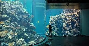 Wild life sanctuary and rescue center. Sabah Aquarium Marine Museum Oneapps