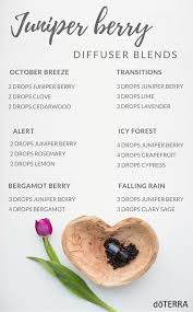First, i always recommend doing a little bit of research about the properties of the essential oils you're using. Juniper Berry Diffuser Blends Diffuser Recipes Essential Oil Diffuser Recipes Essential Oils For Babies