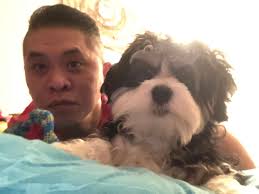 Ich hab da mal eine Frage in die Runde. Gibt es bei dieser Rasse auch  unterschiedliche Fellstrukturen und ich habe gelesen, dass es auch  Havaneser in Mini gibt? Würde mich über Antworten