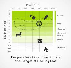 Signs And Types Of Hearing Loss Audicus