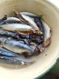 Rebuskan ikan yang telah di bersihkan. Resepi Ikan Rebus Goreng Masakan Popular Kelantan Paling Mudah Makan Panas Panas Memang Terlajak Sedap Keluarga