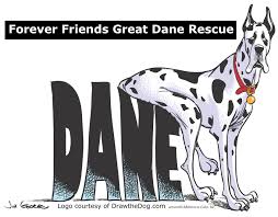 Will be vet checked, 1st shots, and dewormed. Rescuepower Pet Rescue Blog