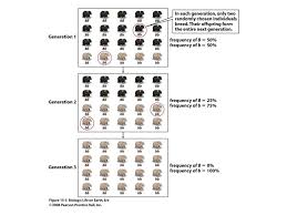 Some of the worksheets for this concept are amoeba sisters genetic drift answer keys, amoeba sisters genetic drift answer keys, amoeba sisters genetic drift answer. Teresa Audesirk Gerald Audesirk Bruce E Byers Ppt Download