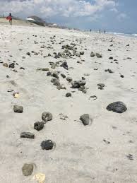 the rocky path to put sand on n topsail beach coastal