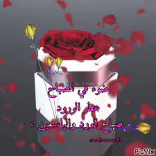 ضوء في الصباح عطر الورود صباح الورد والياسمين in 2021 cake food desserts