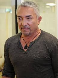 I'm sensitive idc. My feelings get hurt easy that's why I'm mean.