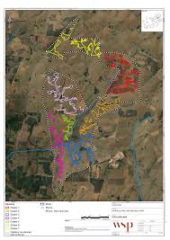 Image result for Lopholaena sp.no.1