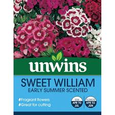 Shop fine gifts from monticello. Unwins Sweet William Early Summer Scented Seeds