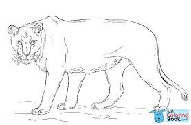 One little finger coloring pages. Lioness Coloring Page Free Printable Coloring Pages For Lion And Lioness Coloring Pages Download More Free Printable Hd Images For Lion Coloring Pages Sketsa