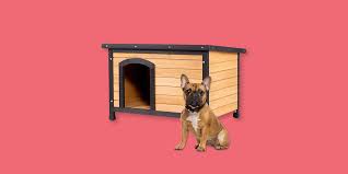 Looking for a good deal on diy dog house? 10 Best Insulated Dog Houses 2021 Winter Dog House Reviews