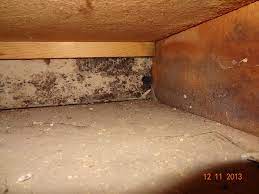 Black mold is known to cause reactions in people who already have asthma. Photos Environmental Services Group Carolinas Llc