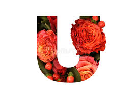 High type is great for stencilling letters to words and quotes. 254 Beautiful Stylish Alphabet Photos Free Royalty Free Stock Photos From Dreamstime