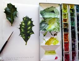 Maybe you would like to learn more about one of these? Step By Step Botanical Illustration Of A Holly Leaf Lizzie Harper
