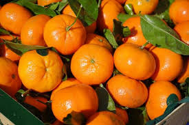 Mimpi minum jus jeruk mewakili vitalitas dan energi. Alasan Wajib Sedia Jeruk Mandarin Saat Perayaan Tahun Baru Imlek