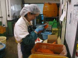 障害者就業 生活支援センター 千葉県