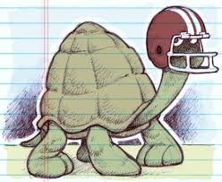 Turtle W Football Helmet On Football Helmets Turtle Football