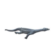 Image result for Nothosaurus