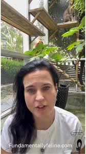 Fundamentally Feline added a new photo.