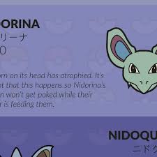 Nidoran (Female) | Tmnt X Pokemon Wiki | Fandom