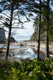 Maybe you would like to learn more about one of these? Insider S Guide To Visiting Washington State S Olympic National Park Seattle Met