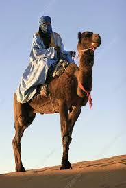 Well, basically no vehicles can easily ride on sand. Berber Riding A Camel Morocco Stock Image C003 7428 Science Photo Library