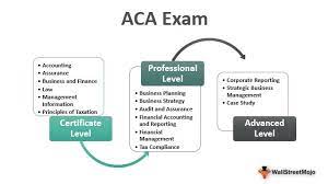 Beginner's Guide To Aca Exam - Associate Chartered Accountant