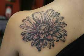 Gerber Daisy The Orchid Snatcher 5476283 Aster Flower Tattoos Daisy Tattoo Designs Daisy Tattoo