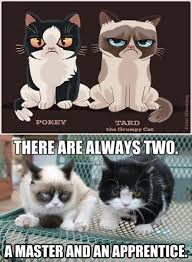 Grump Cat Star Wars Refrence Grumpy Cat Funny Grumpy Cat Memes Grump Cat