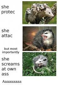 She Protec She Attac But Most Importantly She Screams At Own Ass Aaaaaaaaa Meme On Me Me