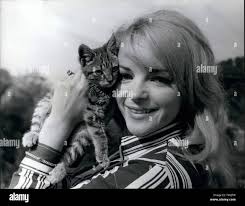 Miss irish hi-res stock photography and images