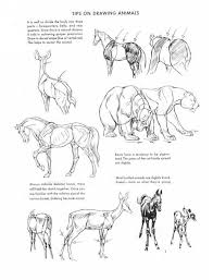 Easy techniques for drawing people, animals, flowers and nature by carrie stuart parks and rick parks | jun 13, 2009 4.6 out of 5 stars 1,218 The Art Of Animal Drawing Construction Action Analysis Caricature Dover Art Instruction By Ken Hultgren Free Download Borrow And Streaming Internet A Animal Drawings Animal Sketches Animals