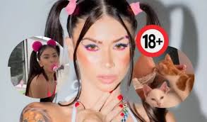 MC Pipokinha surge vestida de criança e com animais em vídeos adultos »  Portal dos Fatos