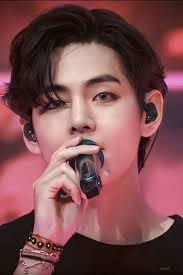 Nancy Andino (ngaa24)